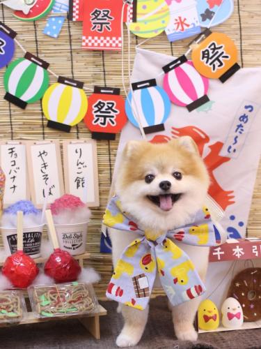 20240727モコくん